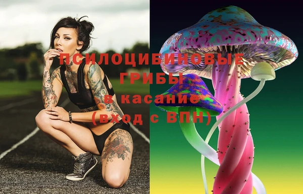 гашик Гусиноозёрск