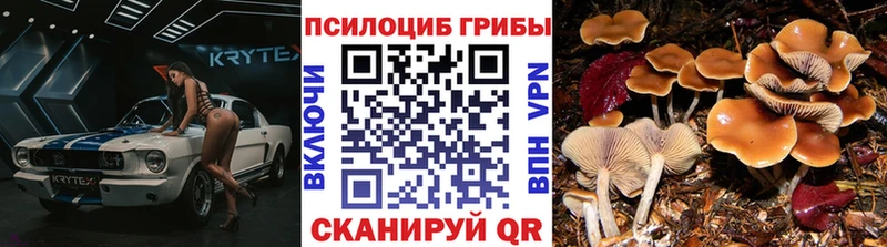 Галлюциногенные грибы Magic Shrooms  мега ТОР  Игарка  наркота 